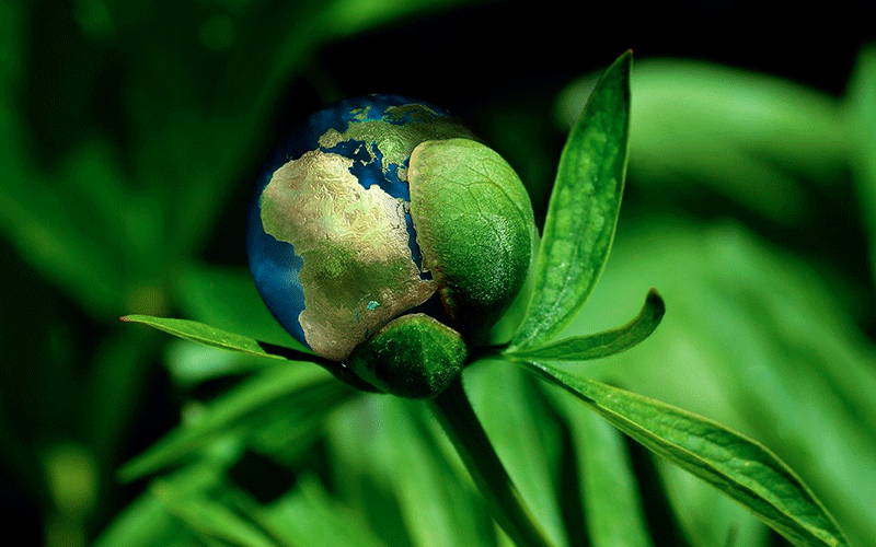 Il valore della sostenibilità