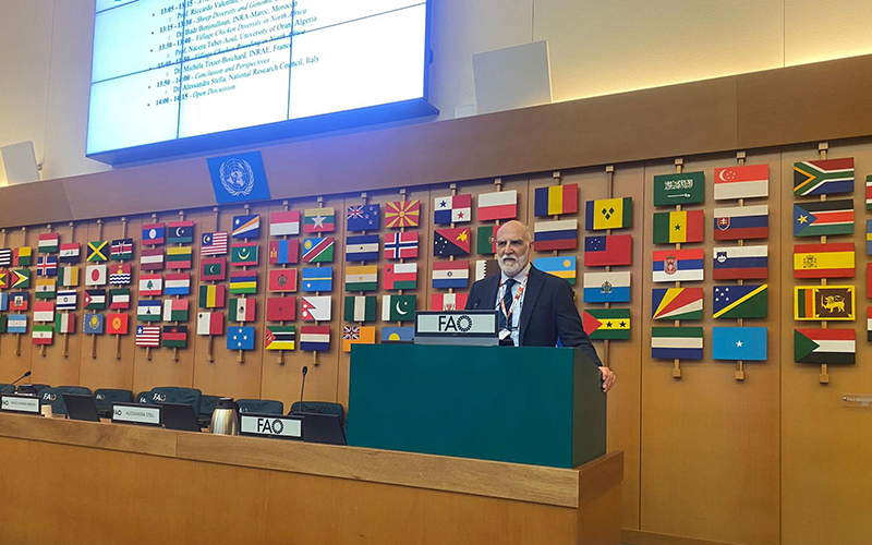 Presentati alla Fao i risultati del progetto Scala-Medi