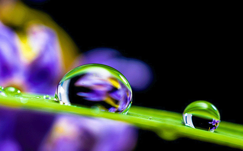 Acqua, la giornata mondiale per ricordarne il valore