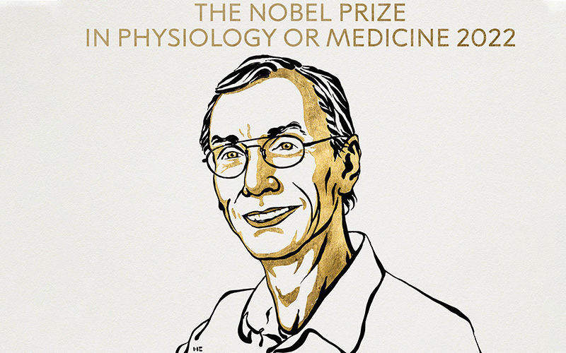 Il Nobel per la Medicina alle scoperte sul genoma degli uomini primitivi