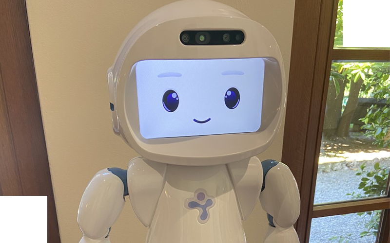 L’approccio multidisciplinare contro i rischi dell’Intelligenza Artificiale