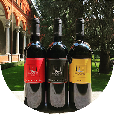 Dalle Crete senesi i vini bio per Casa Fogliani