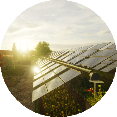 Energia fotovoltaica e agricoltura, la 'combo' del futuro