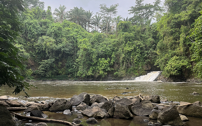 Tra mito e rinascita: c&rsquo;&egrave; anche la Cattolica nel cuore del progetto di sviluppo agro-zootecnico in Camerun