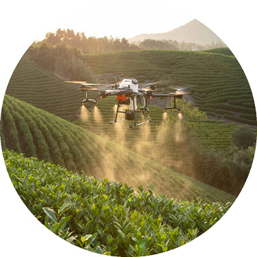 Terratech, il progetto dell&rsquo;agricoltura intelligente