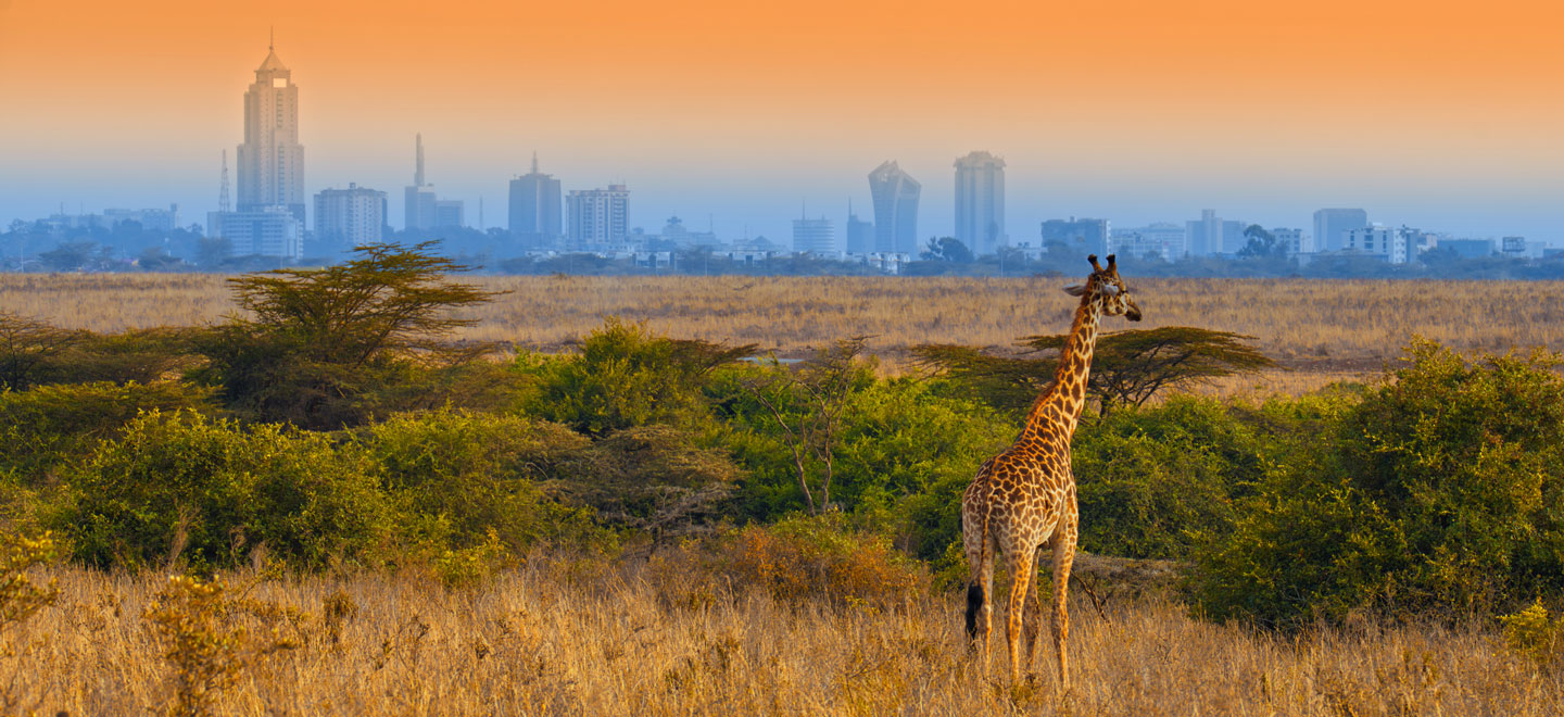 In Africa, con l&rsquo;Africa