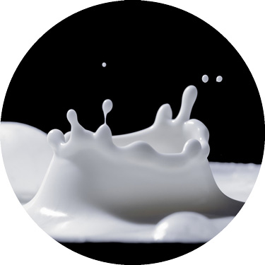 Latte e derivati: la sostenibilit&agrave; possibile