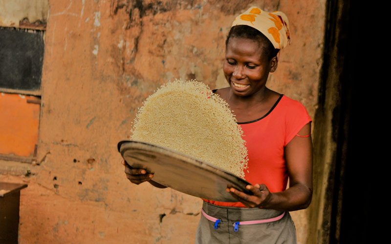 Da Nairobi, studiosi italiani e africani insieme per la sicurezza alimentare