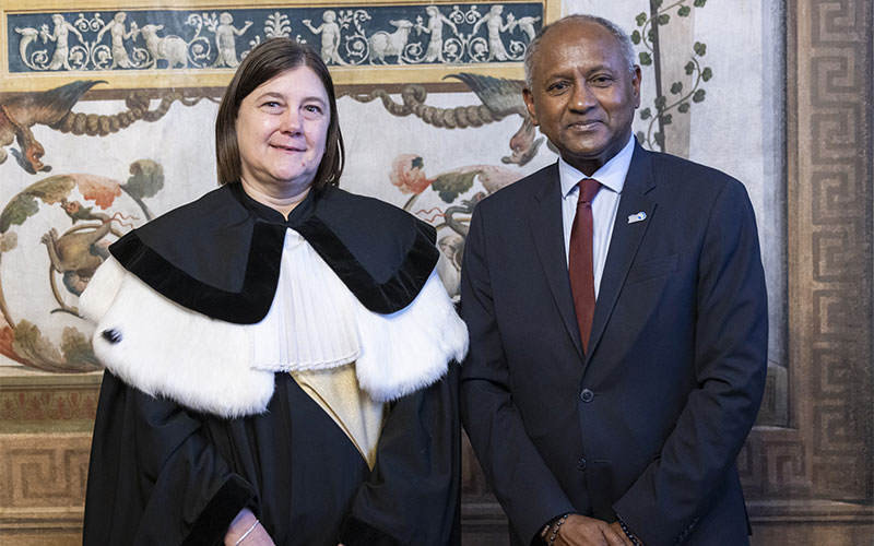 Land, World, Africa: The challenge of openness at the Dies in Brescia