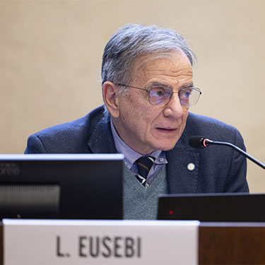 Il decreto sicurezza tra nuove esigenze sociali e rispetto dei principi costituzionali