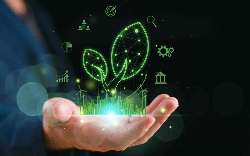 Innovazione in campo: le agro-forniture guidano il cambiamento