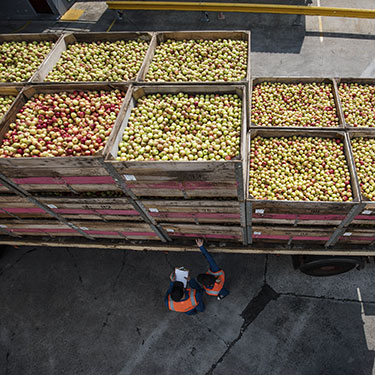 Nasce l’Osservatorio sul settore food, strumento strategico per il futuro del Made in Italy 