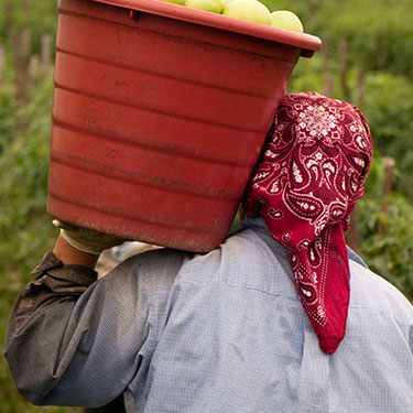 Bioma: una rete per la salute, i diritti e la sostenibilit&agrave;