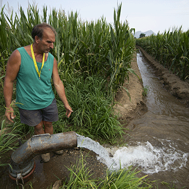 Resil Vigna, il progetto che salva il vigneto  dal cambiamento climatico