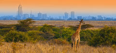 In Africa, con l’Africa